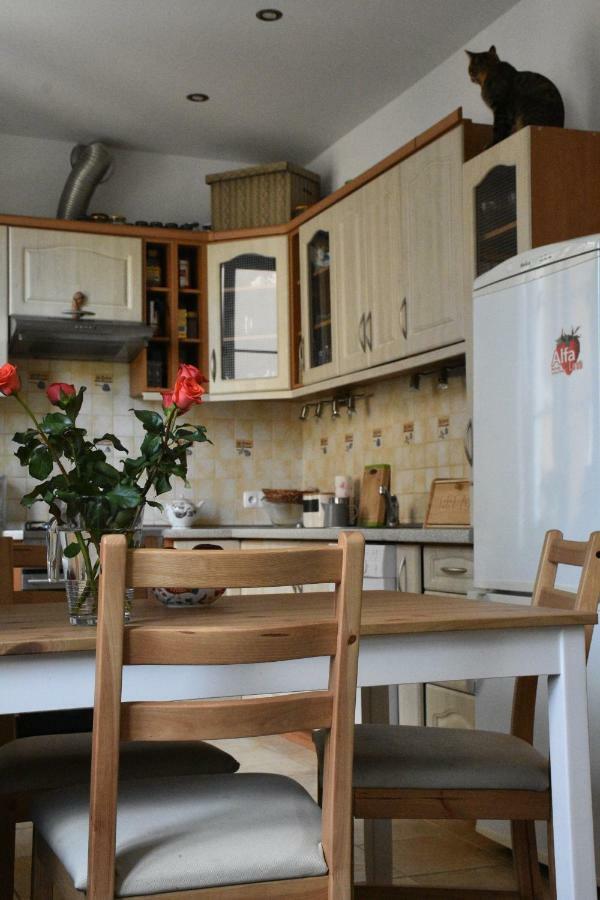 Apartament Rynek 11B Opole Extérieur photo